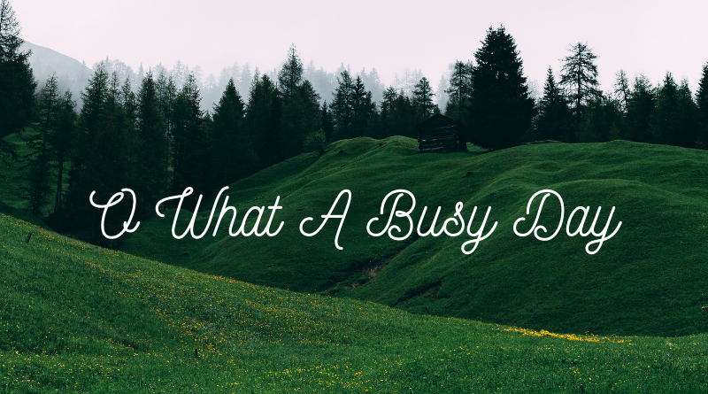 A Busy Day