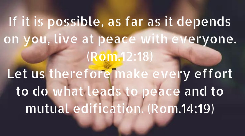 Take every effort to do what leads to peace and to mutual edification.