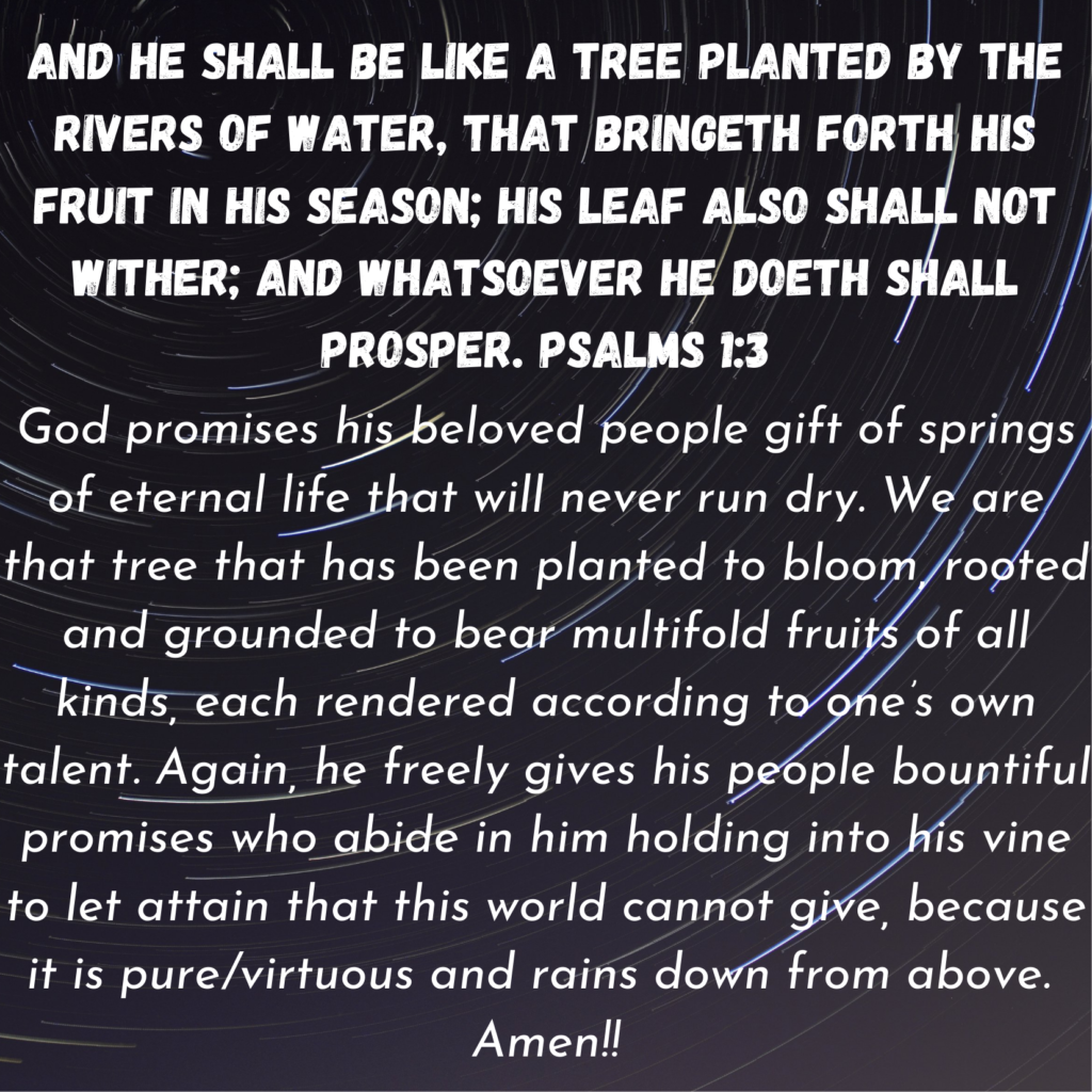 Psalms 1 3
