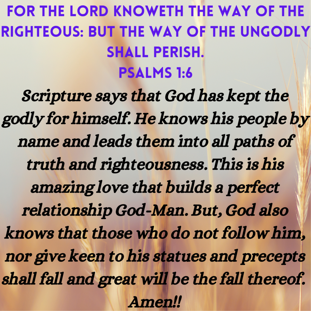 Psalms 1 6