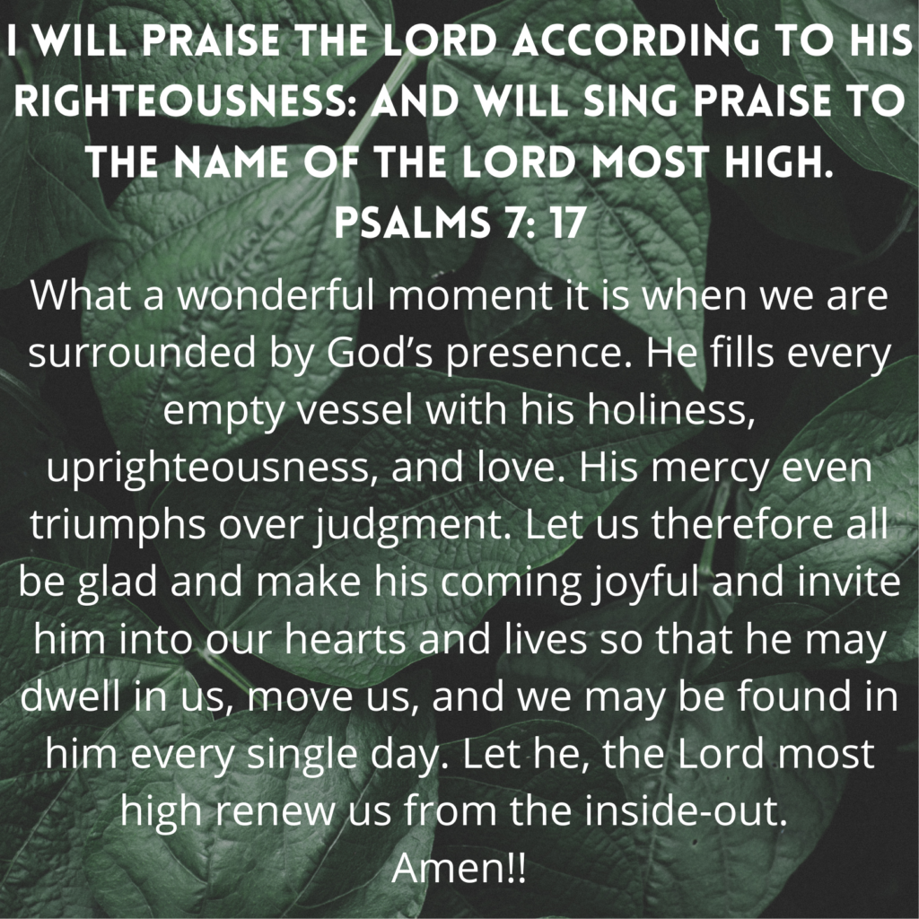 Psalms 7 17
